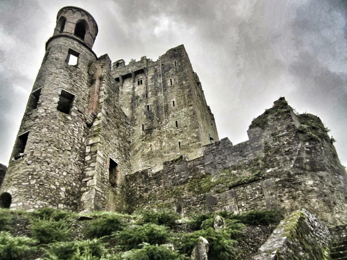 Foxhollow House Blarney Extérieur photo