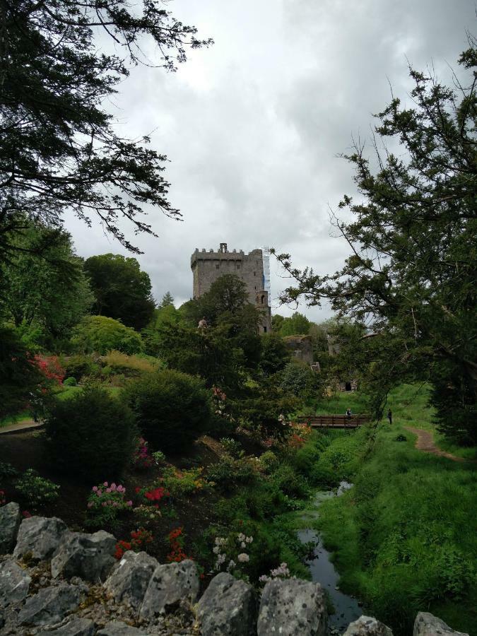 Foxhollow House Blarney Extérieur photo